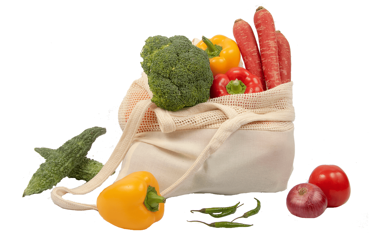 Organic Cotton Mart Mesh & Fabric Tote Bag