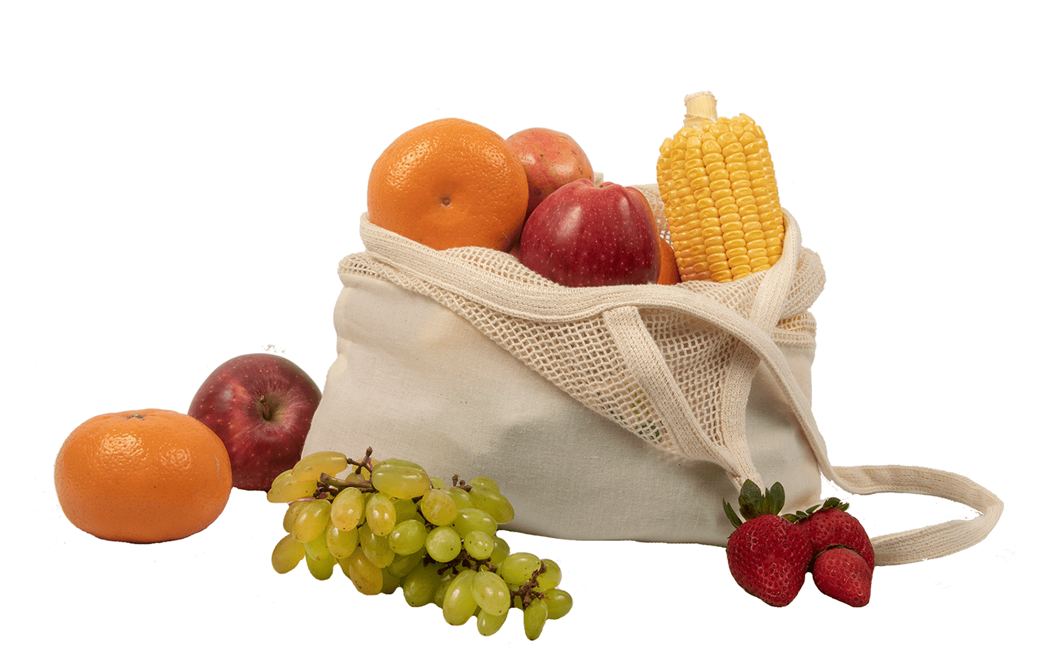 Organic Cotton Mart Mesh & Fabric Tote Bag